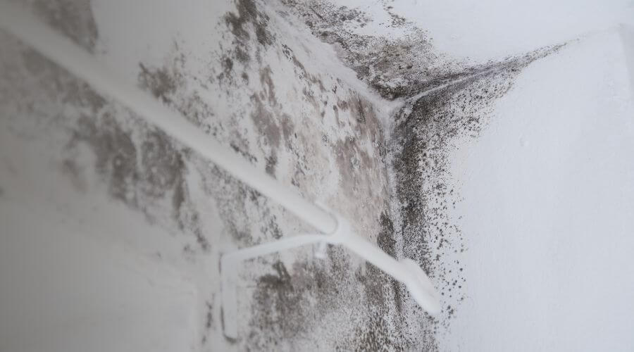 Why choose water damage restoration service for burst pipe water damage in Las Vegase